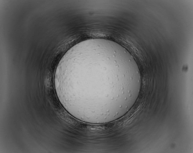 X0000100930359200806241144