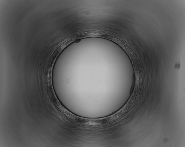 X0000100930360200806241144