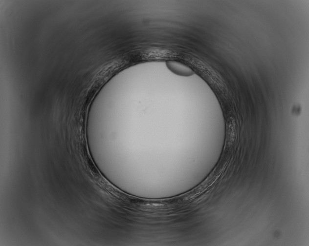 X0000100930361200806241144