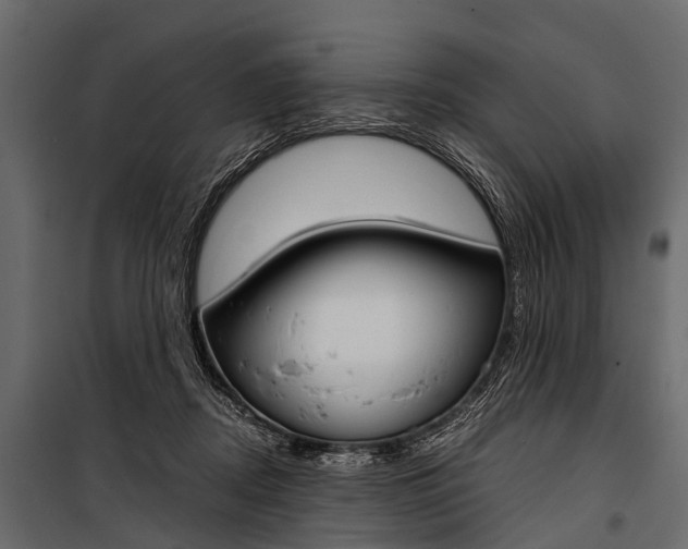 X0000100930362200806241144