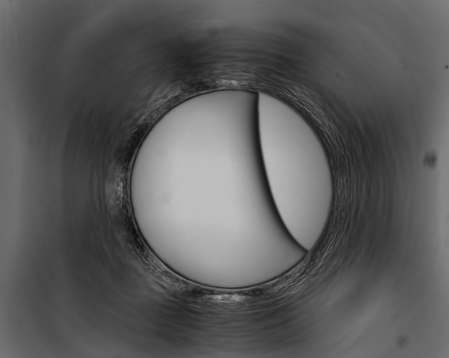 X0000100930363200806241144