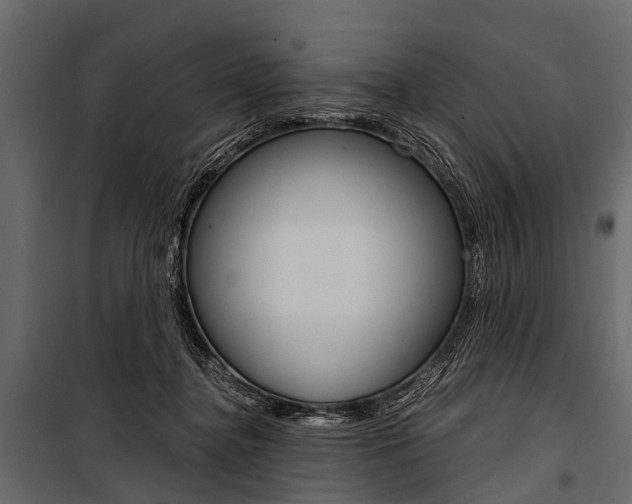 X0000100930364200806241144