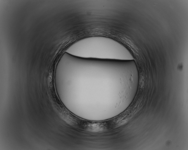 X0000100930365200806241144