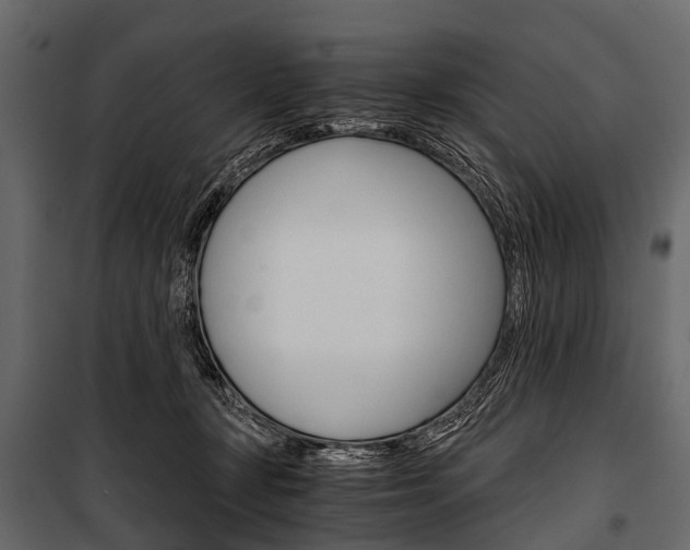 X0000100930367200806241144