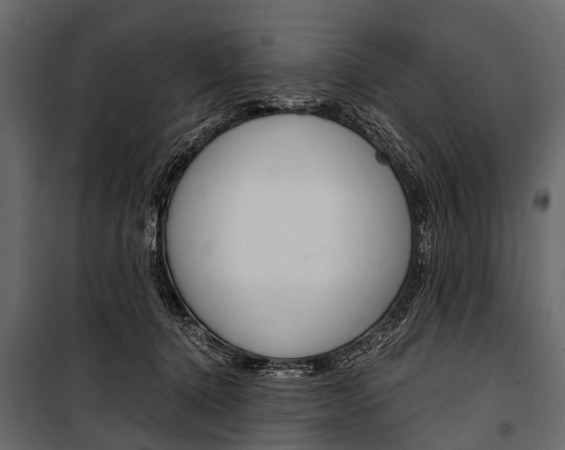 X0000100930368200806241144