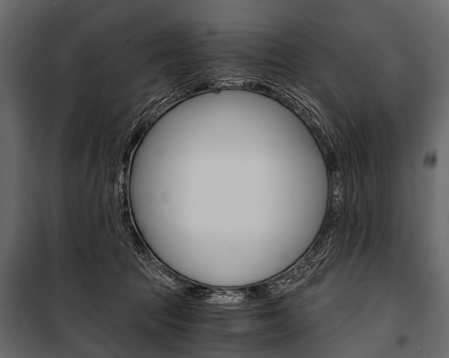 X0000100930369200806241144