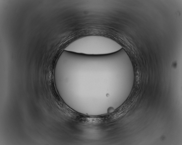 X0000100930371200806241144