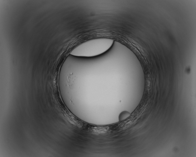 X0000100930373200806241144