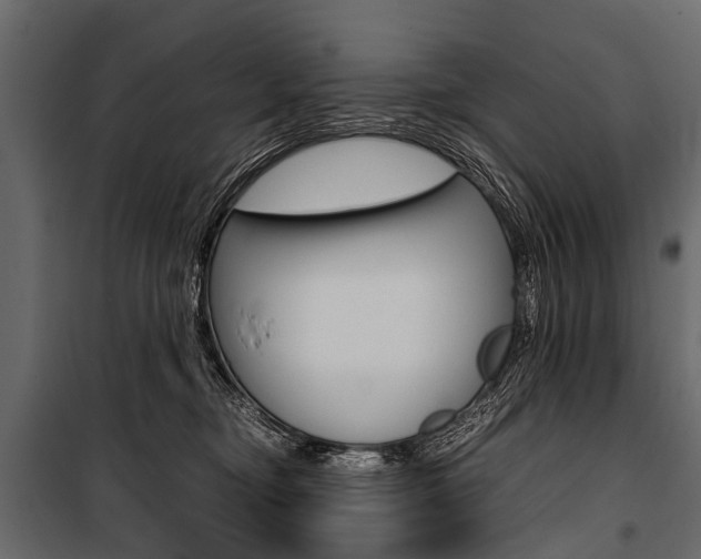 X0000100930374200806241144