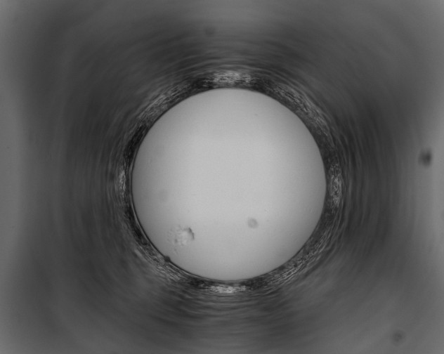 X0000100930375200806241144