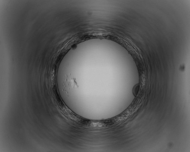 X0000100930376200806241144