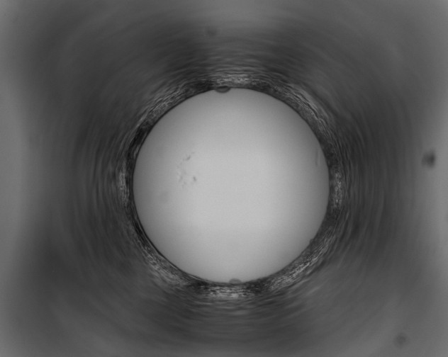 X0000100930377200806241144