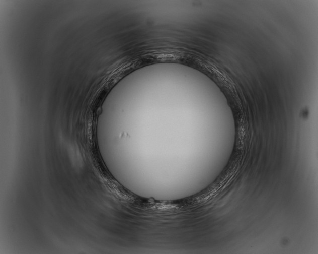 X0000100930379200806241144