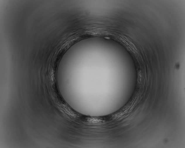 X0000100930380200806241144