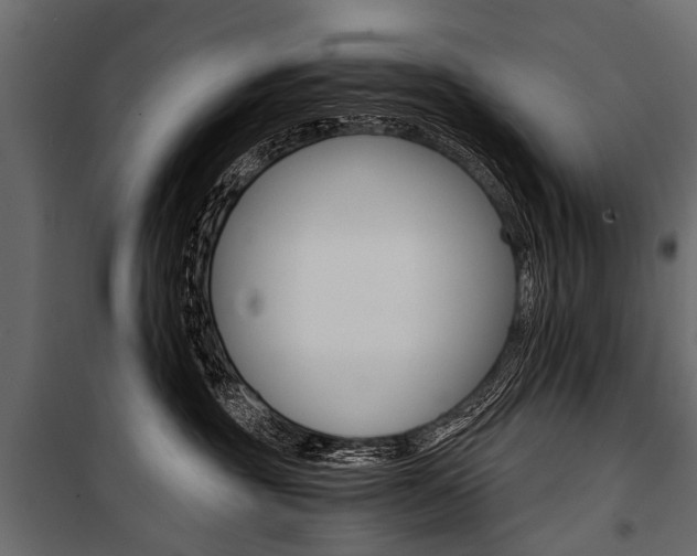 X0000100930381200806241144