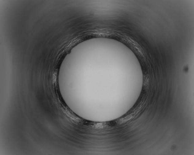 X0000100930382200806241144