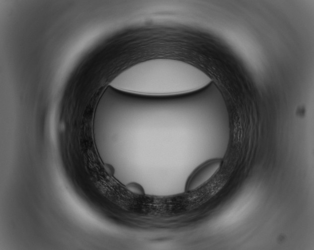 X0000100930383200806241144