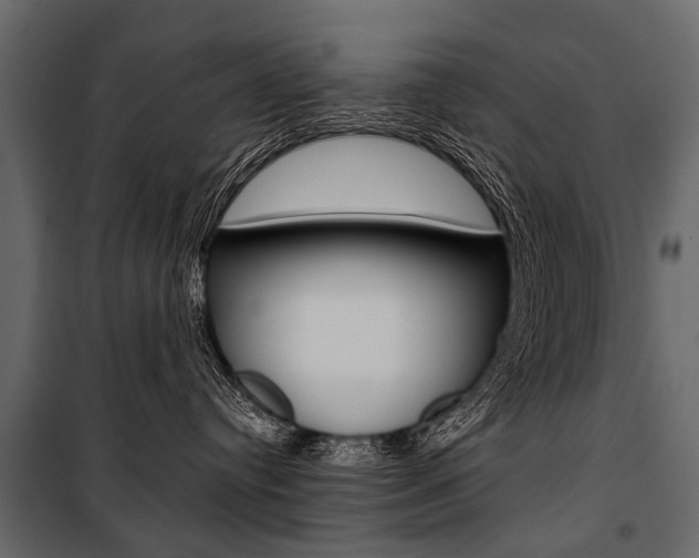 X0000100930384200806241144