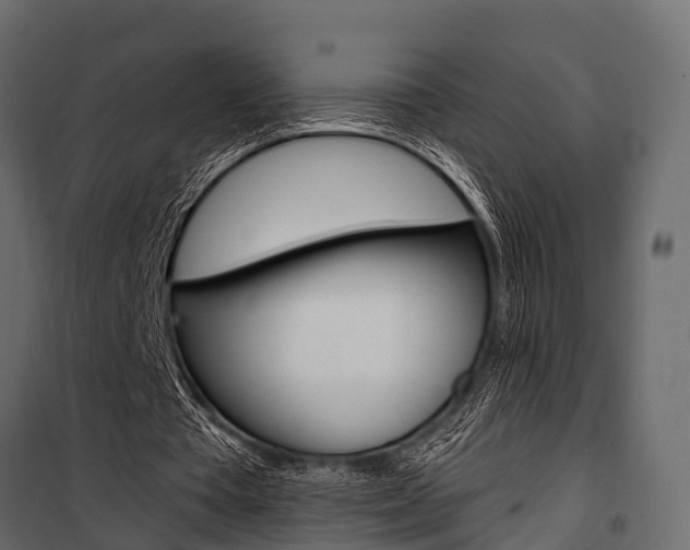 X0000100930385200806241144