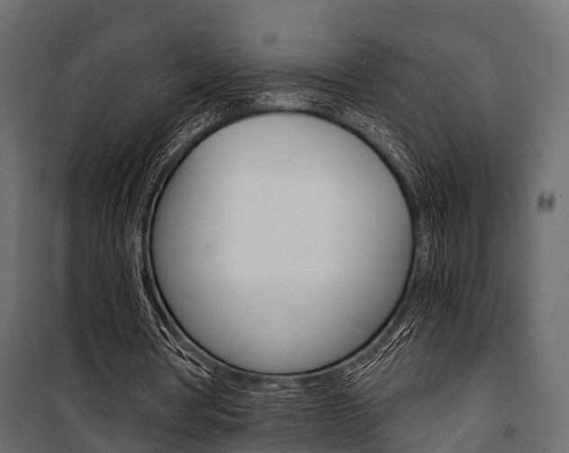 X0000100930386200806241144