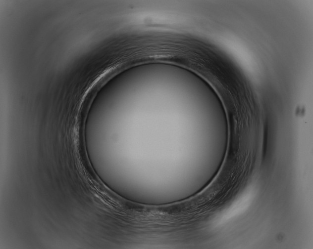 X0000100930387200806241144