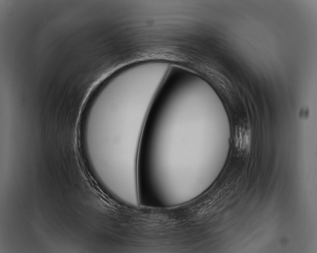 X0000100930388200806241144