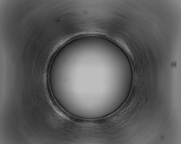 X0000100930389200806241144