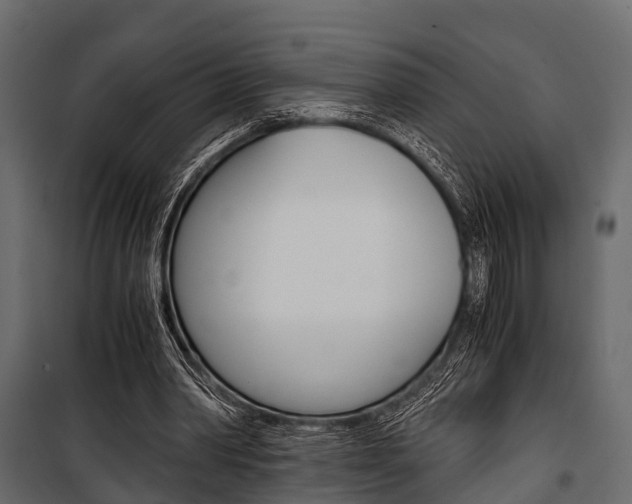 X0000100930390200806241144