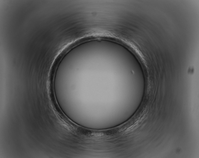 X0000100930391200806241144