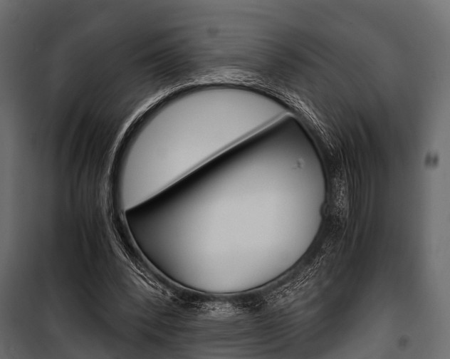 X0000100930392200806241143