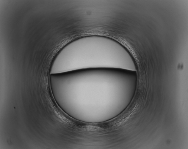 X0000100930393200806241143