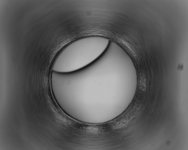 X0000100930394200806241143