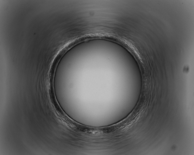 X0000100930395200806241143