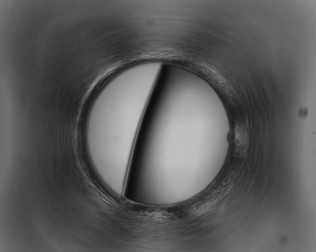 X0000100930396200806241143