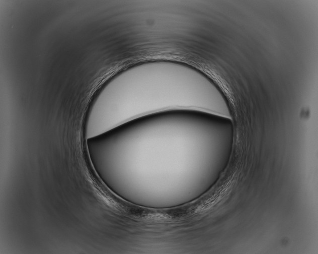 X0000100930397200806241143