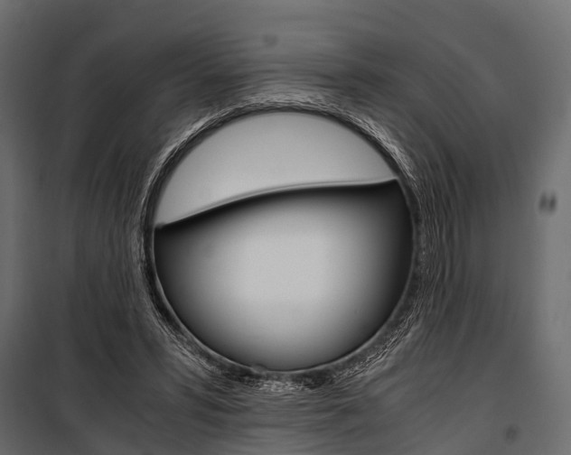 X0000100930399200806241143