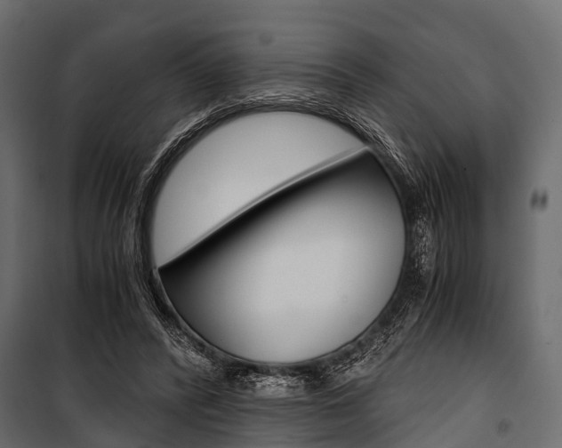 X0000100930400200806241143