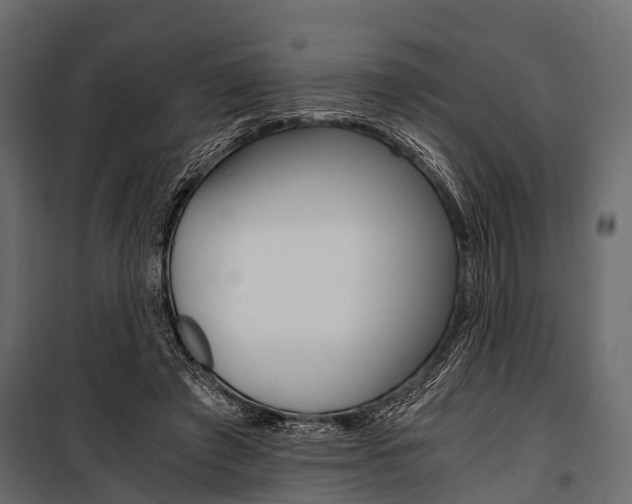 X0000100930401200806241143