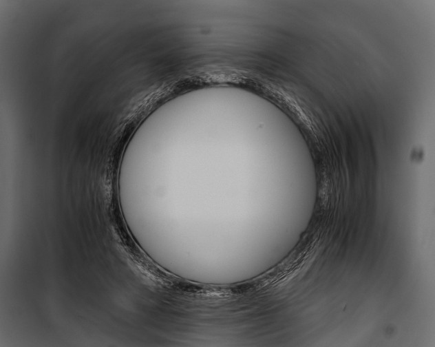 X0000100930402200806241143