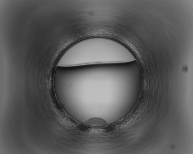 X0000100930403200806241143