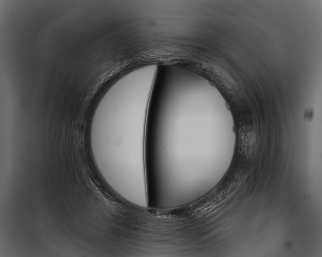 X0000100930404200806241143