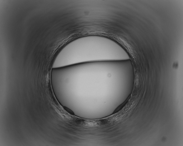 X0000100930405200806241143