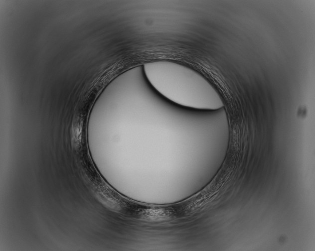 X0000100930406200806241143