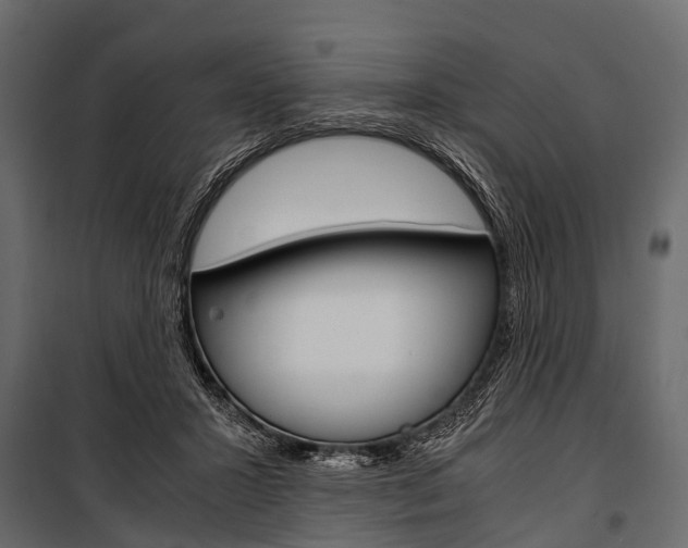 X0000100930407200806241143