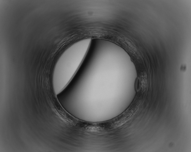 X0000100930408200806241143