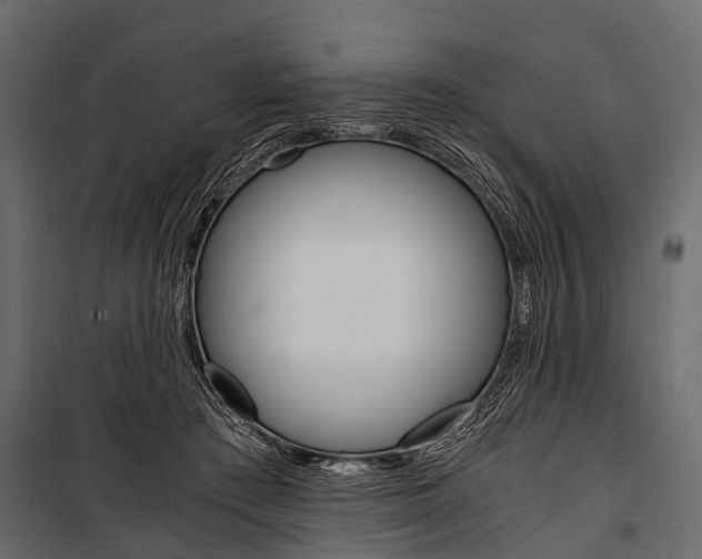 X0000100930409200806241143