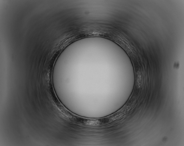 X0000100930410200806241143