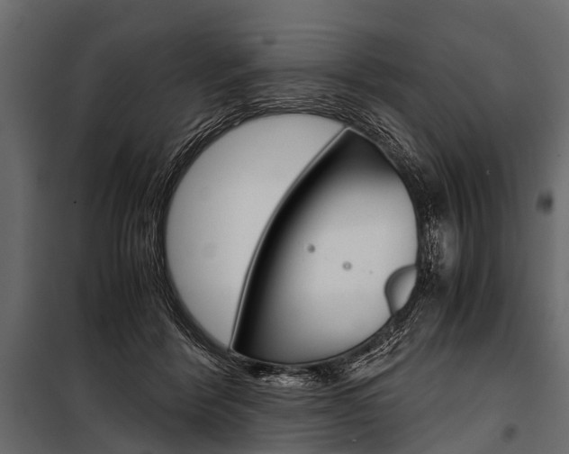 X0000100930412200806241143