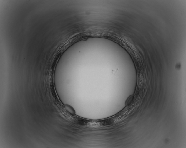 X0000100930413200806241143