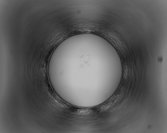 X0000100930414200806241143